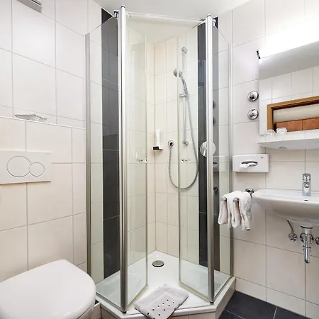 Hotel Zur Rose 3*